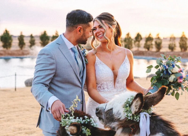 A bride and groom laughing with a flower-crowned donkey at Madewell Estates